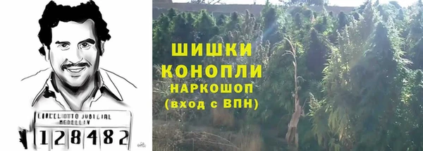 ПСИЛОЦИБИНОВЫЕ ГРИБЫ Михайлов