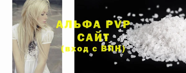 ПСИЛОЦИБИНОВЫЕ ГРИБЫ Михайлов