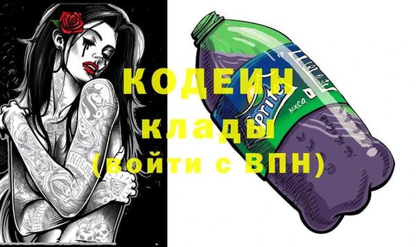 ПСИЛОЦИБИНОВЫЕ ГРИБЫ Михайлов