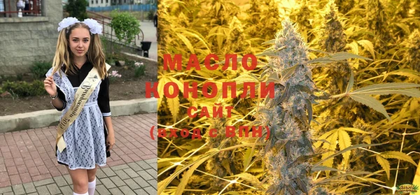 ПСИЛОЦИБИНОВЫЕ ГРИБЫ Михайлов