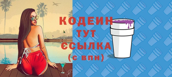 ПСИЛОЦИБИНОВЫЕ ГРИБЫ Михайлов