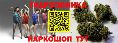 сатива Абакан