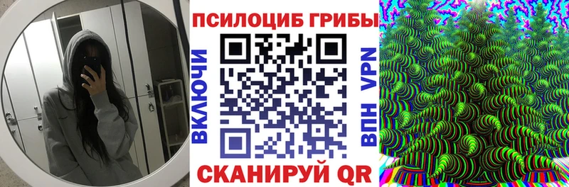 как найти наркотики  Улан-Удэ  Псилоцибиновые грибы мицелий 