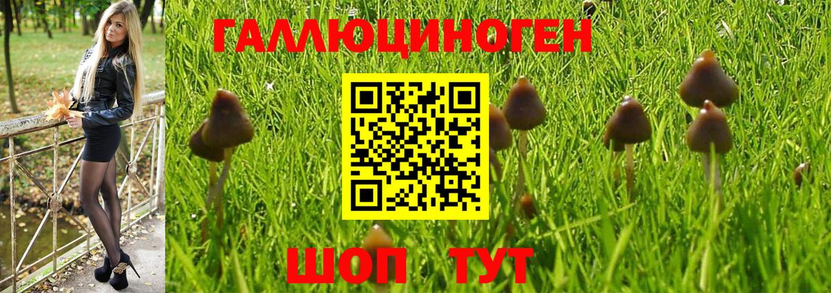 Галлюциногенные грибы MAGIC MUSHROOMS Улан-Удэ