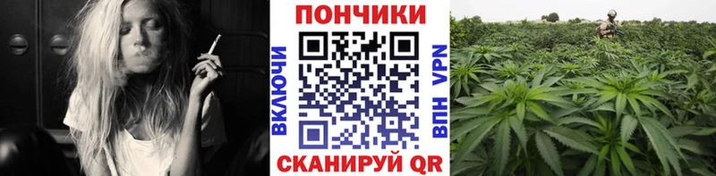 блэк спрут зеркало  Улан-Удэ  Бошки Шишки Ganja 